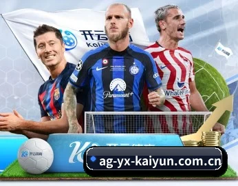 开云体育 APP 深度功能 | Kaiyun